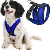 Gooby Comfort X Harness azul, vista frontal, paseos más controlados.