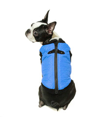 Gooby Fashion Vest, D-Rings traseros para asegurar la correa sin arnés.