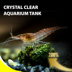 GOOD PARTNER Purify pastillas-plecos-coloracion-viva mejoran apariencia