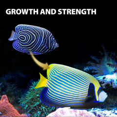 GOOD PARTNER Purify Series, mejora-digestion-peces: ayuda a estómagos sensibles con digestión optimizada.