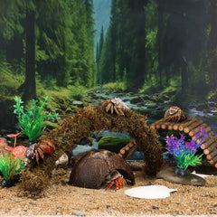 Grddaef Detalle Ambiente Cangrejo: configuración atractiva para el terrario.