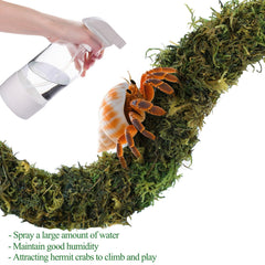 Grddaef Puente de Madera: ruta de exploración segura en el terrario.