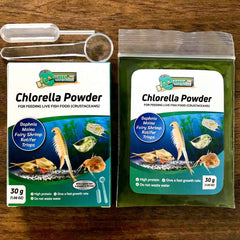 GREEN WATER FARM Daphnia en alimento, ayuda al crecimiento de crustáceos.