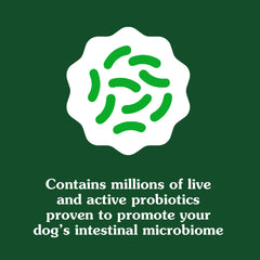 Mélange biotique Greenies : prébiotique, probiotiques et postbiotiques.