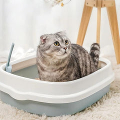 Conjunto GRETJOB Gatito: tapete de rascado para proteger muebles.
