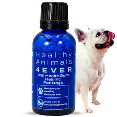 HA4E remedio bucal para perros, pastillas homeopáticas para salud dental