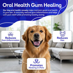 HA4E pastillas homeopáticas mezcladas en la comida del perro