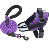 Arnés Haapaw para perro extragrande en nylon resistente, ideal para paseos seguros.