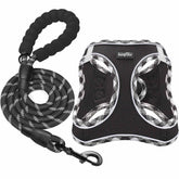 Harnais haapaw avec laisse pour petit chien, ensemble pratique et confortable pour les promenades.