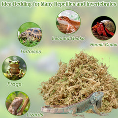 Halatool musgo sphagnum expandible tras remojo, listo para usar en el terrario.