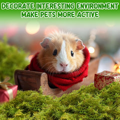 Halatool sin polvo para mascotas sensibles, favorece la salud respiratoria.