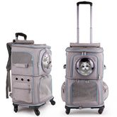 Halinfer mochila transporte doble gatos, dos mininos viajando cómodos para traslados.