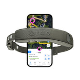 Halo Collar 5: localización GPS en tiempo real para paseos y jardín.
