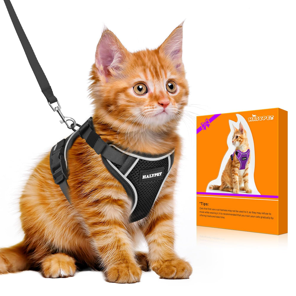 Arnés Halypet H600 Pro a prueba de escape para gatos, seguridad.