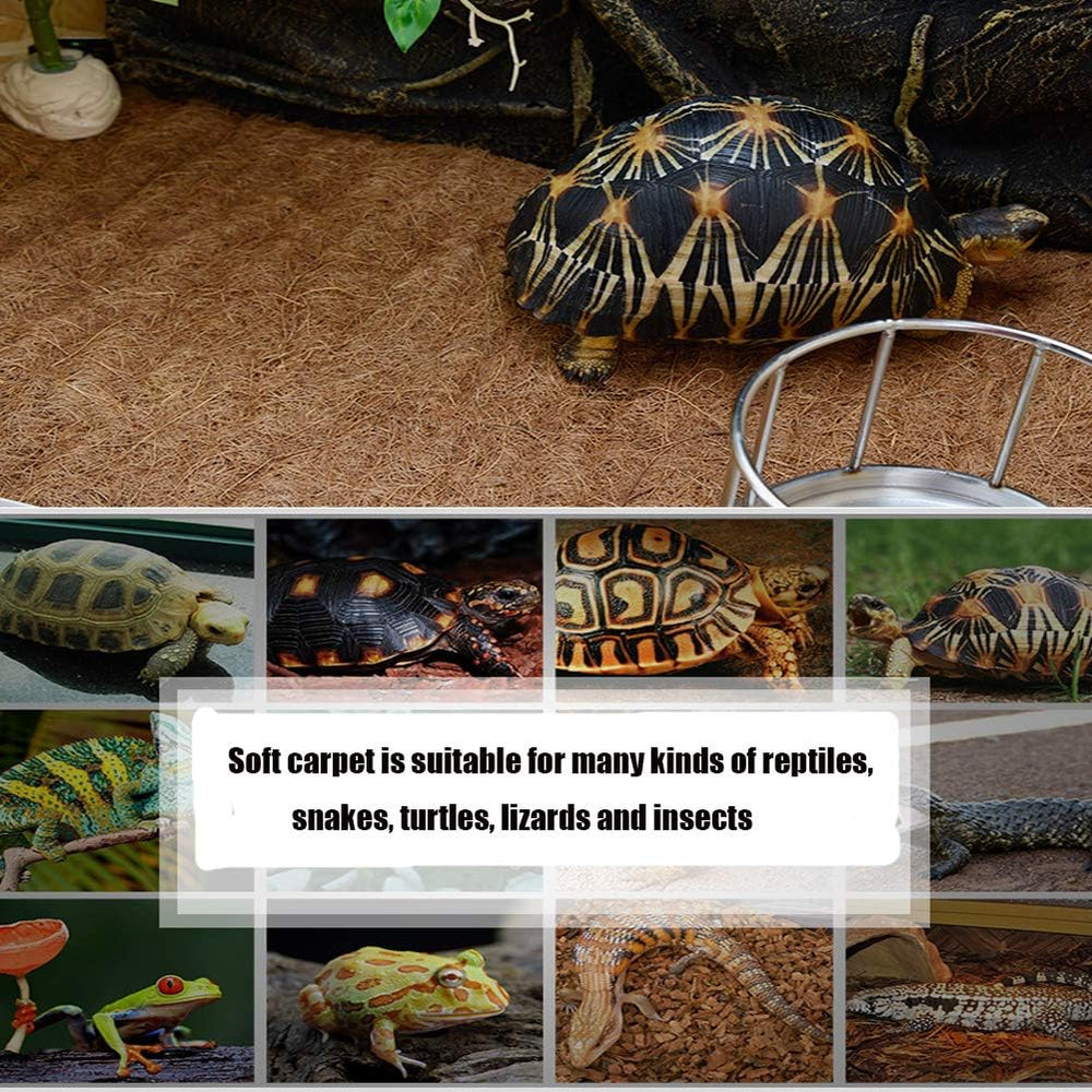 Fibra de coco suave de Hamiledyi, segura para reptiles.