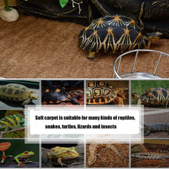 Fibra de coco suave de Hamiledyi, segura para reptiles.