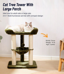 Happi N Pets cama amplia para gatos grandes, vista por la ventana.