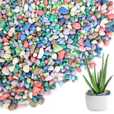 HappyFiller guijarros coloreados para plantas, ideal cobertura de sustrato decorativo.
