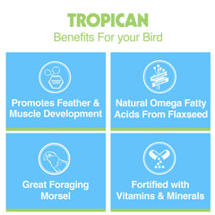 HARI Tropican: aceites-omega-brillo-plumas, aporte nutricional visible