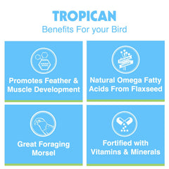 HARI Tropican envase de 20 libras para mayor duración
