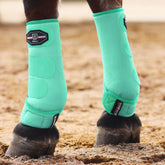 Botas de protección ecuestre Harrison Howard — absorbentes frontales, pack 2, talla L, color menta
