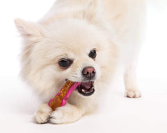 Dúo dental Hartz, tamaño extra pequeño ideal para cachorros y perros miniatura.