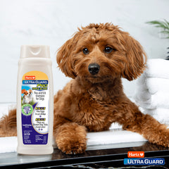 Hartz Ultraguard Pro Champú para perro: acondiciona y devuelve brillo al pelaje.