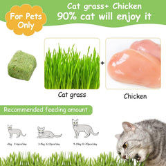 HavenJanny hierba-gatos-snack-02: hierba fresca que apoya la limpieza bucal y reduce bolas de pelo