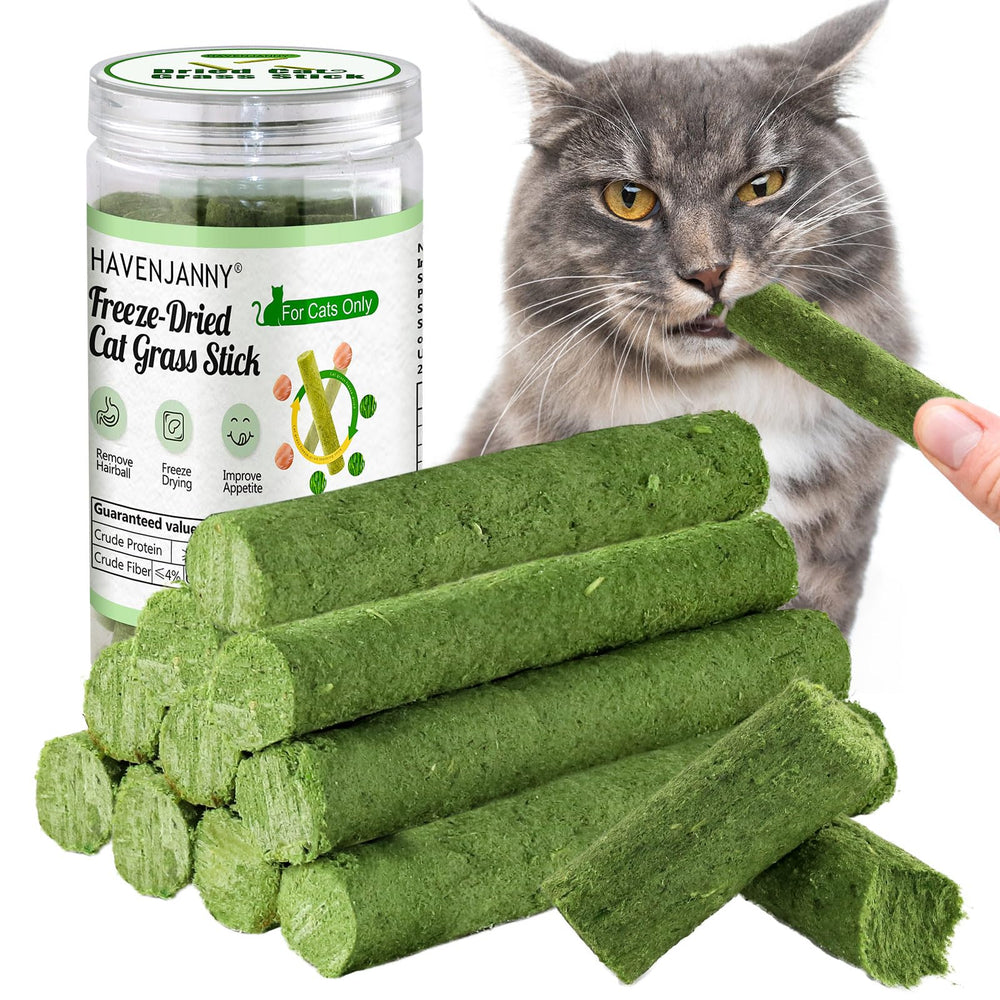 HavenJanny palito hierba gato dientes: apoyo dental natural