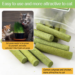 HavenJanny: premio-entrenamiento para gatos que refuerza conductas positivas.