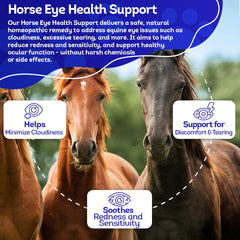 HealthyAnimals4Ever HA4E sensación de confort en caballos.