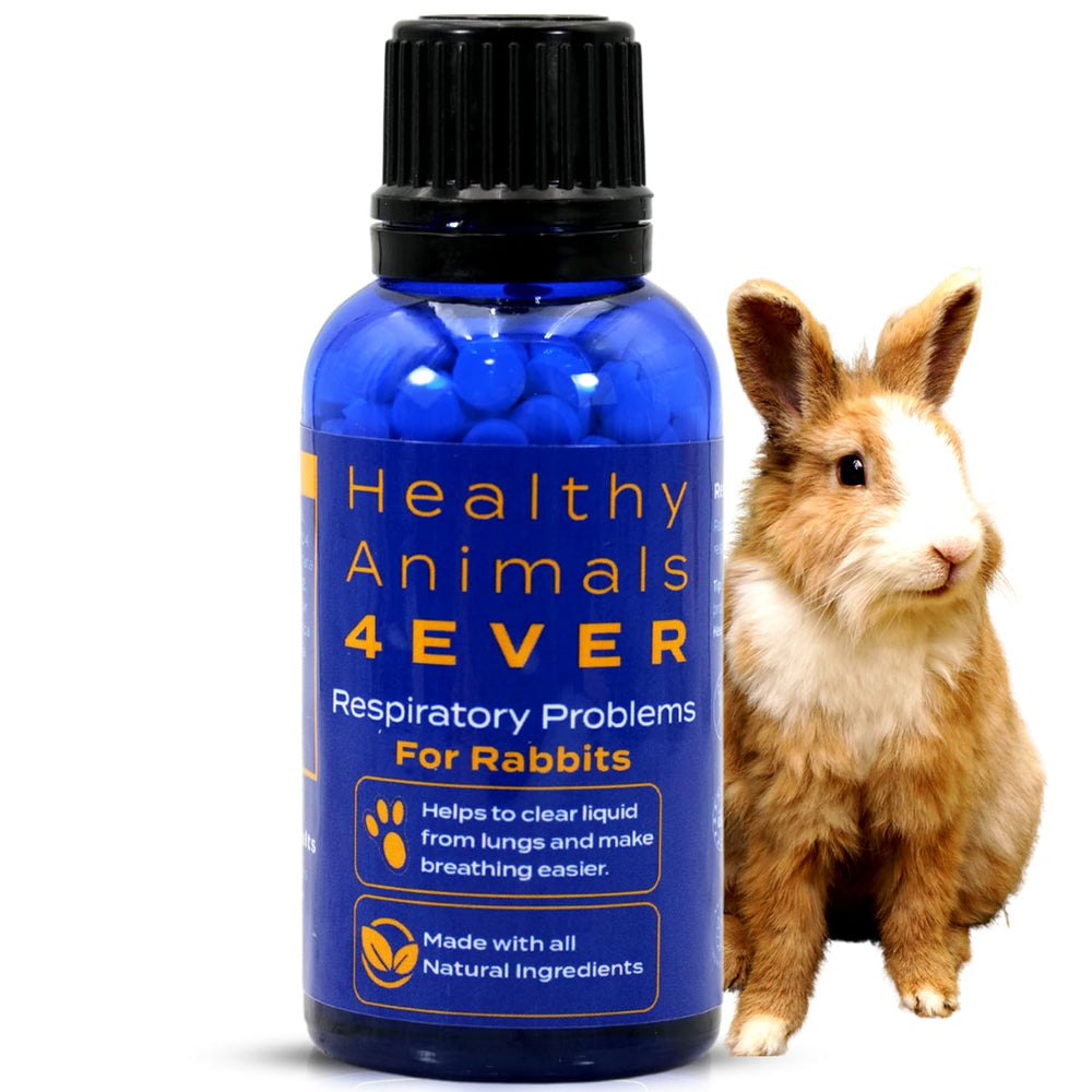 HA4E tabletas respiratorio de HealthyAnimals4Ever para apoyo diario de la salud del conejo.