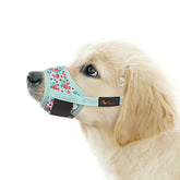 HEELE bozal para perro, vista frontal, seguridad y ajuste cómodo para paseos.