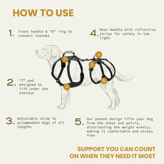 Help 'Em Up, estilo U enfocado en anatomía trasera para mayor libertad de movimiento.