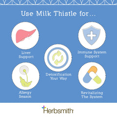 Detalle de la planta Milk Thistle en sachet de Herbsmith.