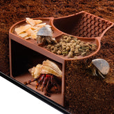 HERPDEN habitat-cueva-dos-en-uno ofrece refugio seguro para cangrejos ermitaños.