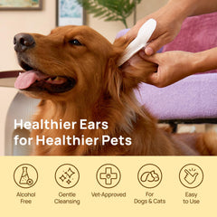 HICC PET fibras vegetales biodegradables para una limpieza suave.