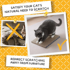 Hide & Scratch gato usando rascador para proteger muebles.