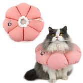 HiDREAM collier-cone chat étanche — soutien à la récupération.