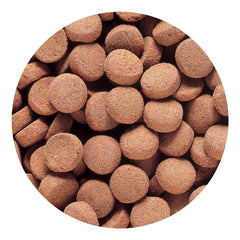 Hikari Massivore Delite 2,2 libras, envase práctico para alimentar a peces carnívoros.