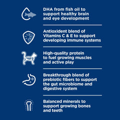 Gatitos Hill's Science Diet, minerales equilibrados para huesos y dientes en crecimiento.