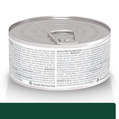 Gato comiendo Hill's Prescription Diet m/d GlucoSupport en lata, para control de glucosa.