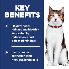 Hill's Science Diet Adult 7+ ActivBiome+ paraDigestión e inmunidad en gatos