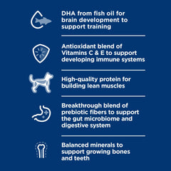 Hill's Science Diet cachorros, minerales equilibrados para huesos y dientes fuertes.