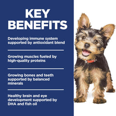Hill's Science Diet Puppy Small & Mini, minerales equilibrados para huesos en crecimiento