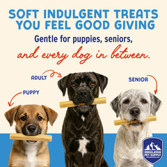 Himalayan Dog Chew Yogurt Sticks textura suave: fácil de masticar para perros pequeños y grandes