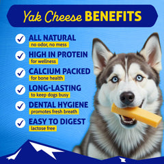 Himalayan Dog Chew Original Yak Cheese con pollo, vista lateral mostrando textura.