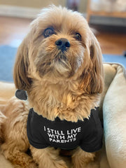Ropa canina HipGirl con tela cómoda y duradera para uso diario.