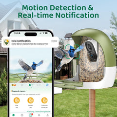 HIXX reconocimiento IA de aves facilita identificar especies al instante