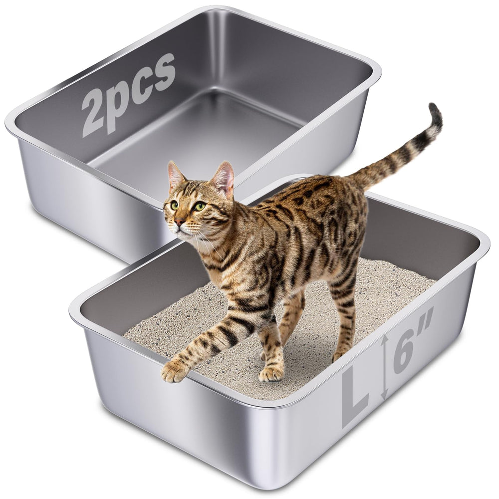 Holintan caja de arena en acero inoxidable, dos unidades, ideal para reemplazo diario.